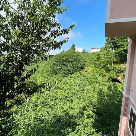 Apartment Zafanos