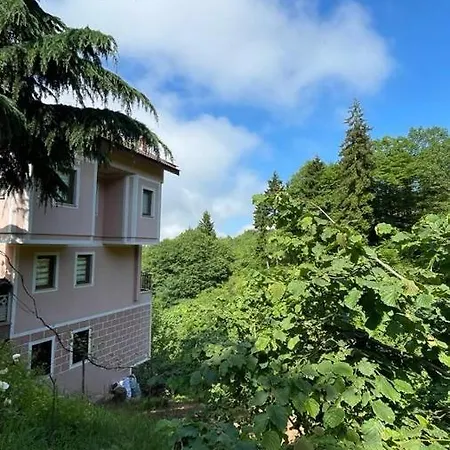 Zafanos Apartment *